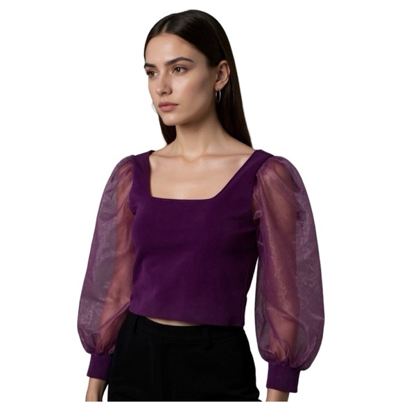 HOUSE OF HARLOW Purple Tutu Mesh Puff Sleeve Crop Top Sz S - Picture 1 of 4
